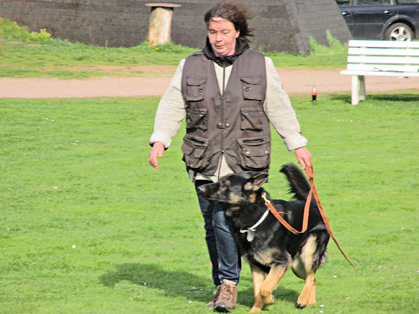 Ausbildung beim SV OG Wittingen