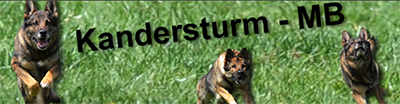 Kandersturm MB