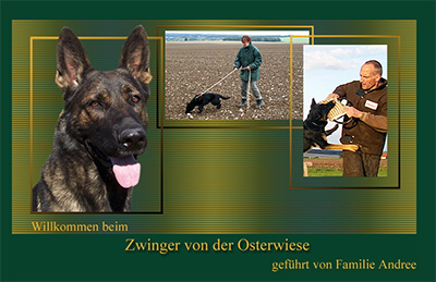 Zwinger von der Osterwiese